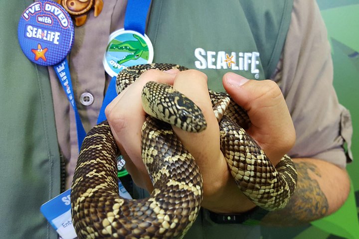 Hunstanton SEA LIFE Sanctuary General Admission Ticket