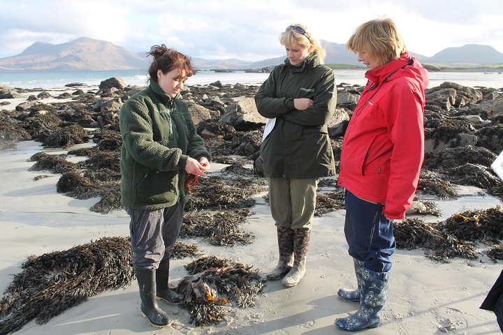 Connemara National Park, strand og tæppe Bog økologi gåtur. Privat Helgedag