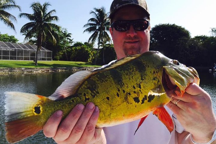 Private Peacock Bass Fishing Charter i nærheten av Boca Raton