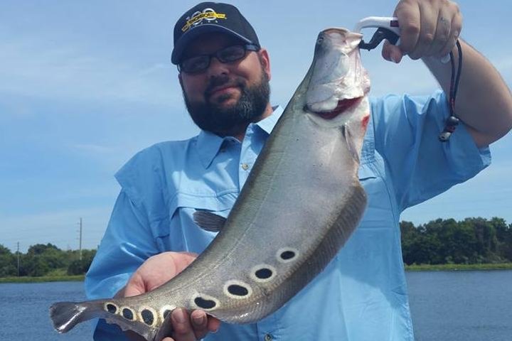 Private Peacock Bass Fishing Charter i nærheten av Boca Raton