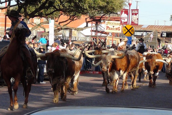 Visite historique de Fort Worth au départ de Dallas ou Fort Worth
