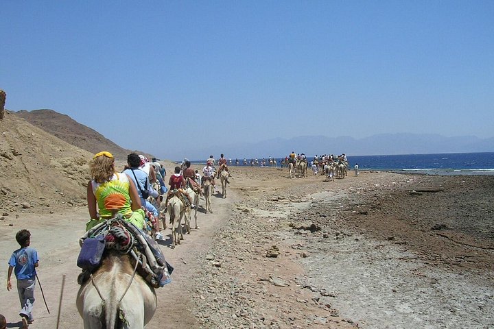Ras Abu Gallum & Blue Hole Snorkel Safari per jeep en kameel