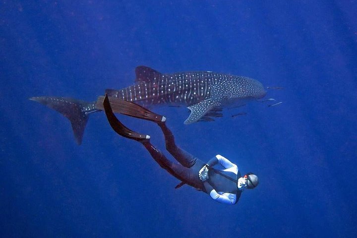 Viaje de Freedive de Koh Chang (inicio en Koh Chang)