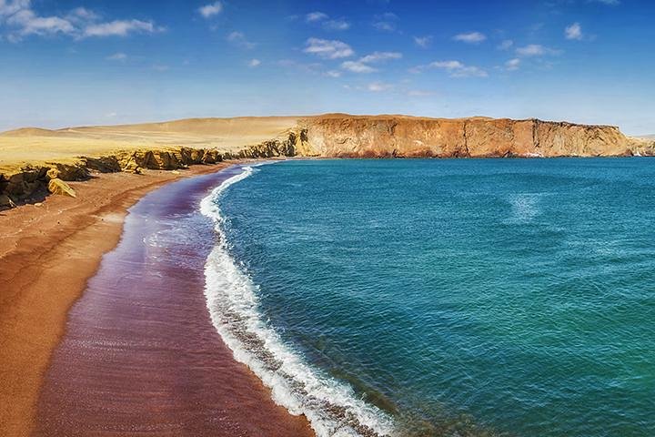Privétour naar Paracas National Reserve vanuit Paracas of Pisco