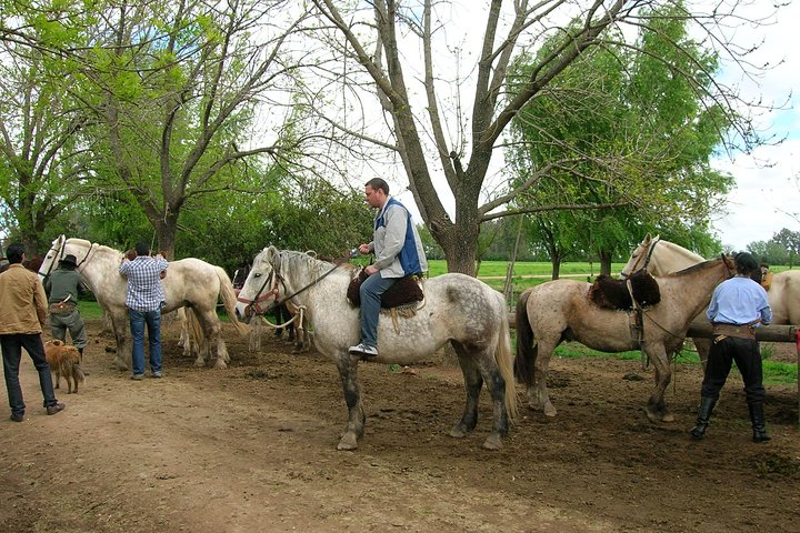 Excursão de um dia a uma fazenda de gaúchos em Buenos Aires