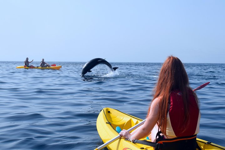 Tenerife: Turtle og delfin kajakk tur med snorkling og våtdrakt