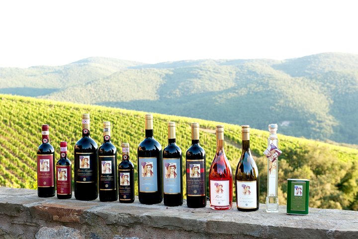 Tour e degustação em uma vinícola orgânica no coração da área de Chianti Classico