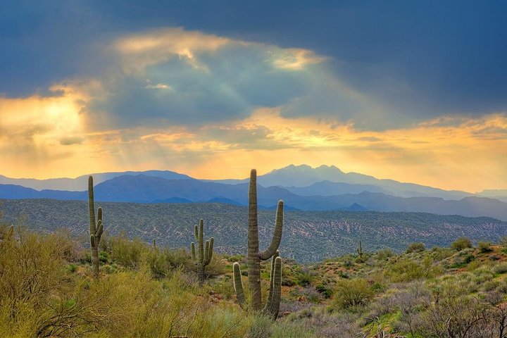 Excursão de Jeep Off-Road de Sedona: Rugged Western Canyons & Wildlife