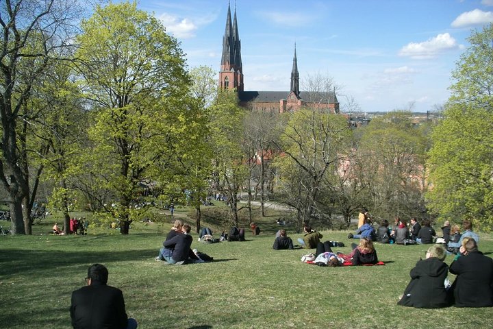 Schwedischer Lifestyle und privater Rundgang durch Uppsala