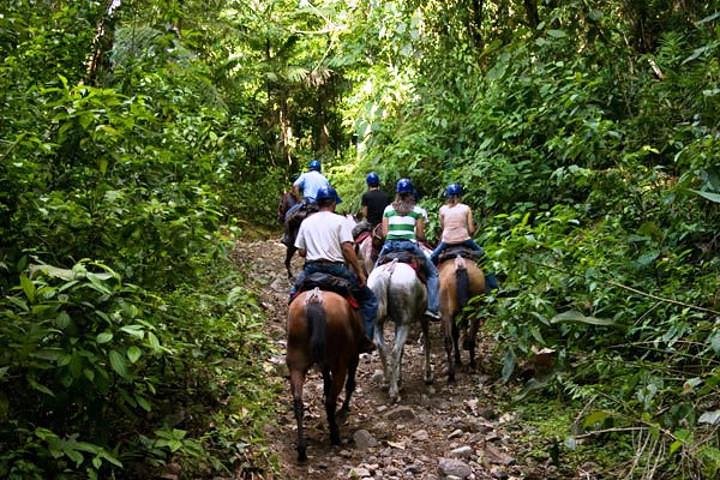 Paseos a caballo a la playa de Conchal desde Tamarindo & Flamingo