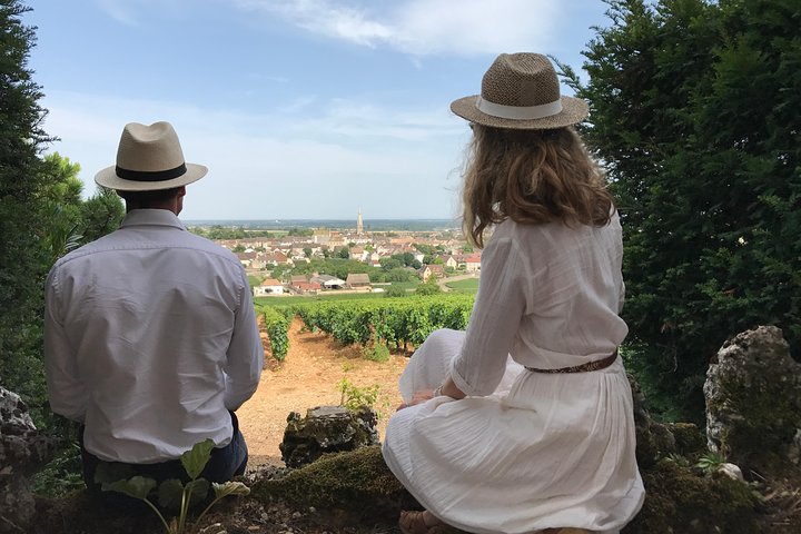 Excursion privée d'une journée en Bourgogne : Côte DE Beaune & Côte DE Nuits