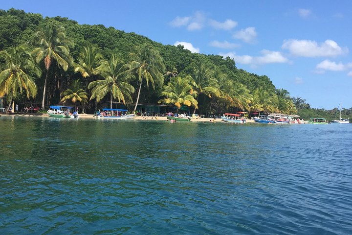 Passeio de lancha pelo Mangrove Point - Praia Starfish - Bocas del Drago e Birds Island