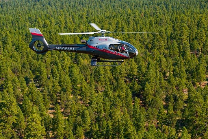 Voo de helicóptero de 45 minutos sobre o Grand Canyon saindo de Tusayan, Arizona