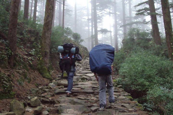 Excursão de Caminhada a Triund de Dharamshala