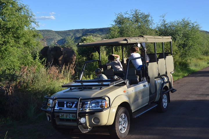Unità di gioco privata di 3 ore del Parco nazionale di Pilanesberg
