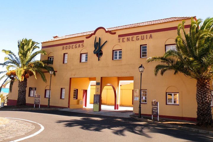 Besök Bodegas Teneguía vingård i La Palma med vinprovning