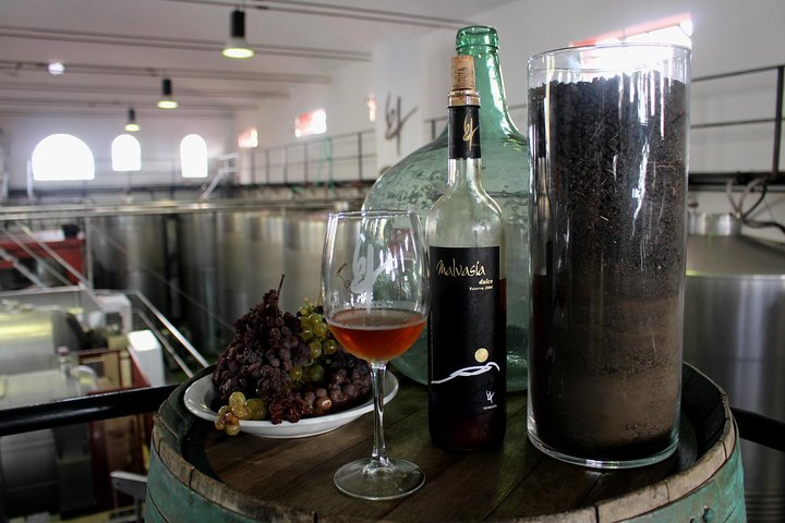 Besök Bodegas Teneguía vingård i La Palma med vinprovning