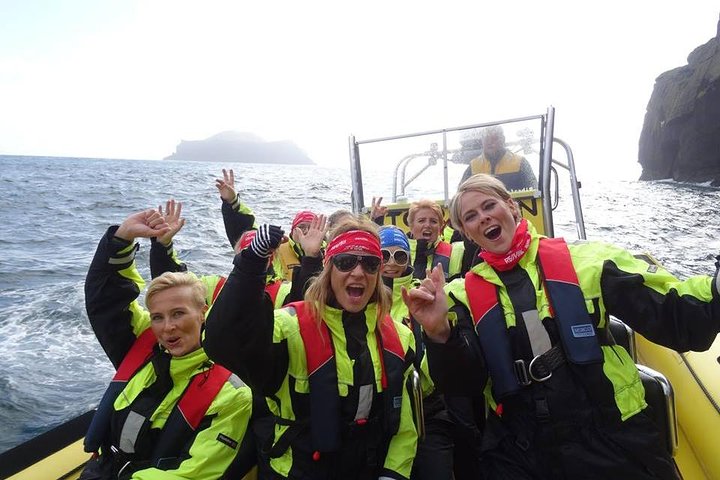 1-timmars liten grupp sightseeingtur i Vestmannaeyjar