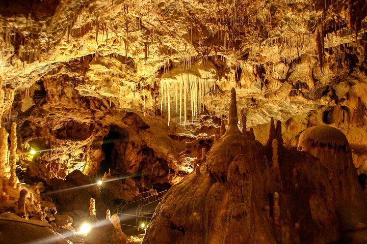 The Bear's Cave - Excursion d'une journée en voiture climatisée au départ d'Oradea