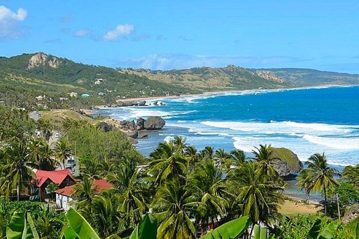 Barbados Island Tour med Lunch och Wildlife Sanctuary