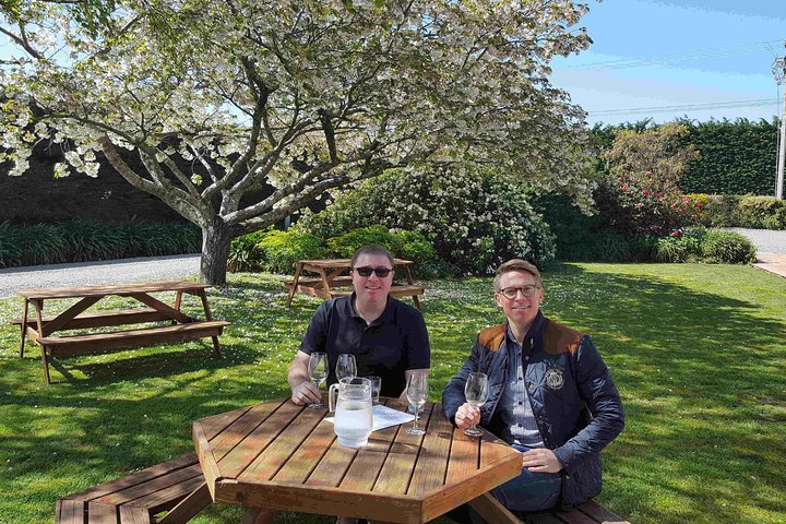 Excursão de meio dia pela vinícola Martinborough saindo de Wellington