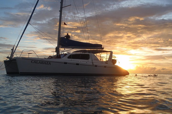 Afternoon Luxury Catamaran Seiling og Charter Cruise fra Bridgetown