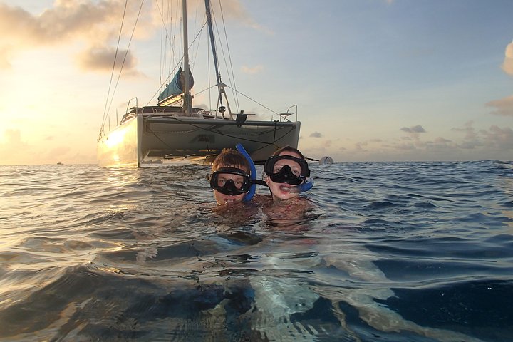 Afternoon Luxury Catamaran Seiling og Charter Cruise fra Bridgetown