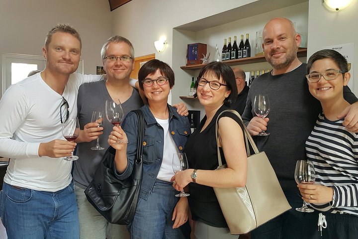 Martinborough in a Day - Tour guidato di degustazione di vini con pranzo