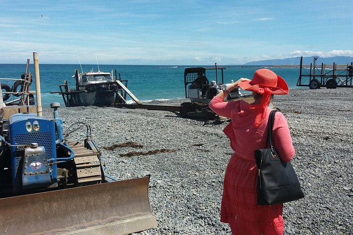 "Pinot til Palliser-tur" - Guidet tur til Cape Palliser med frokost + vinsmagning