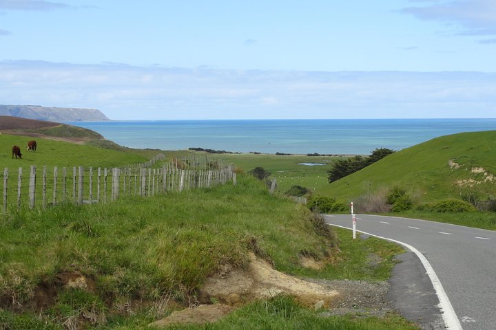 "Pinot til Palliser-tur" - Guidet tur til Cape Palliser med frokost + vinsmagning
