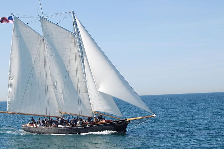 Crucero de avistamiento de ballenas en San Diego