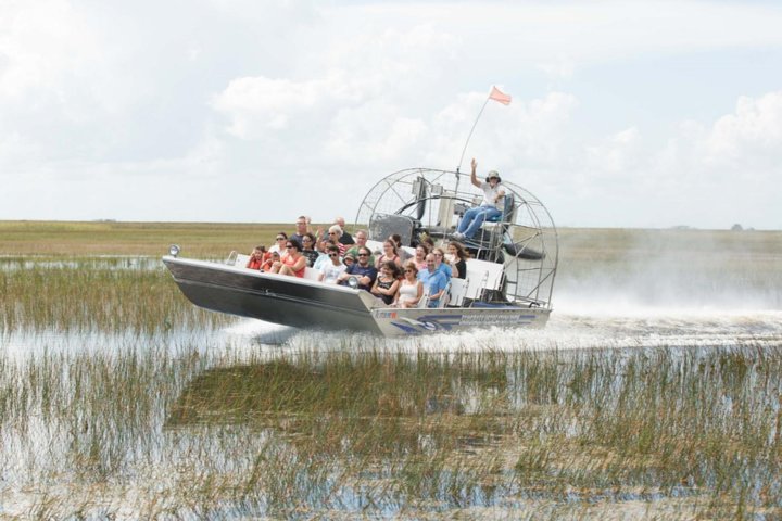 Florida: Fahrt durch die Everglades im Sumpfboot und Begegnung mit wild lebenden Tieren