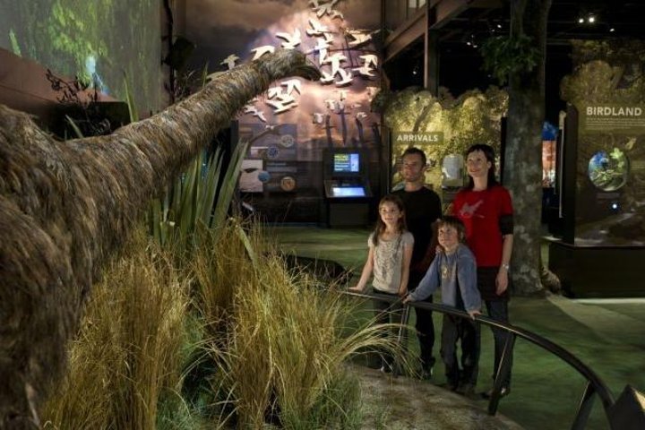 Zeelandia Eco Wildlife Night Tour met kleine groep