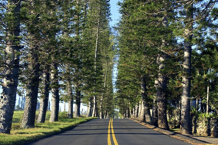 Route de Hana : Journée complète de route panoramique avec Blacksand et cascades