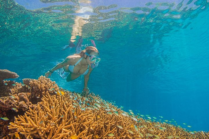Passioni del Paradiso Grande Barriera Corallina Crociera in Catamarano