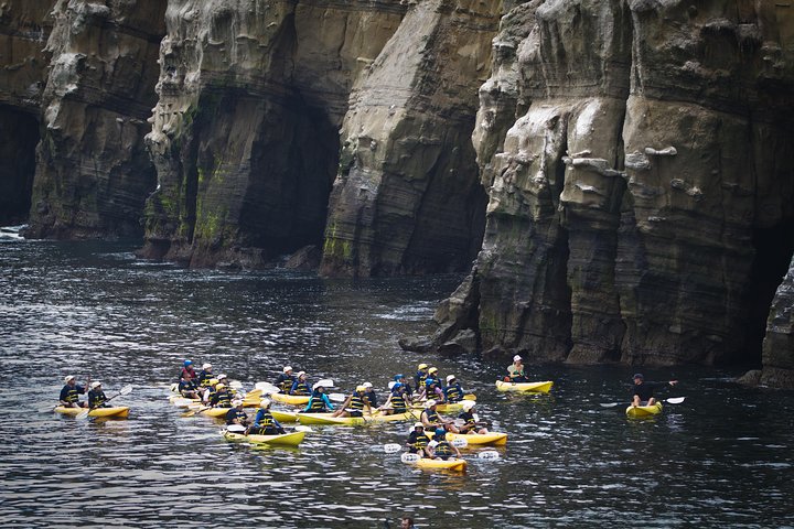 Originele La Jolla Sea Cave Kayak Tour voor twee