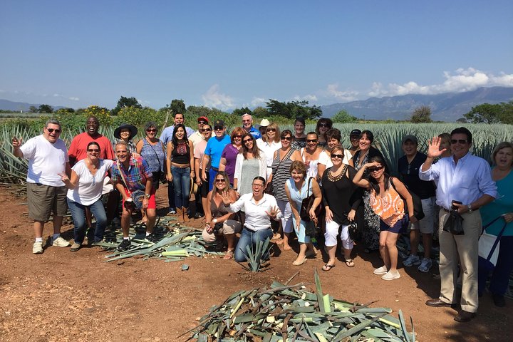 José Cuervo Tequila Tour & Agave Champs au départ de Guadalajara