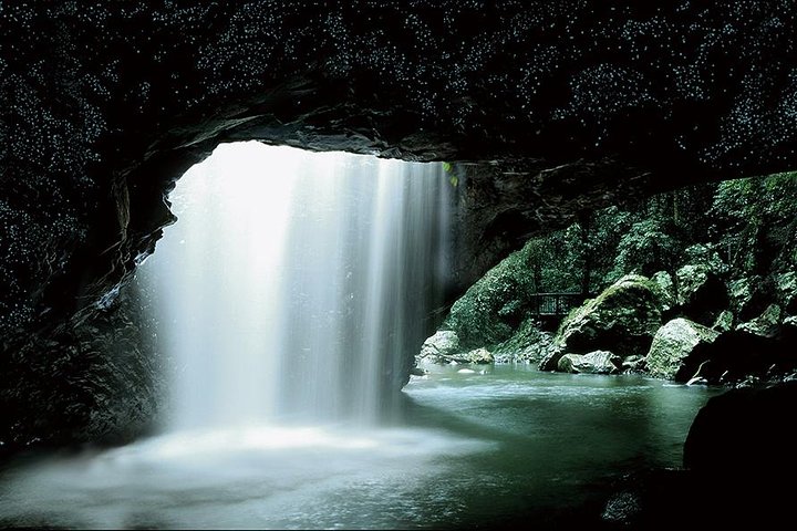 Tour nocturno por el puente natural Glow Worm desde Gold Coast