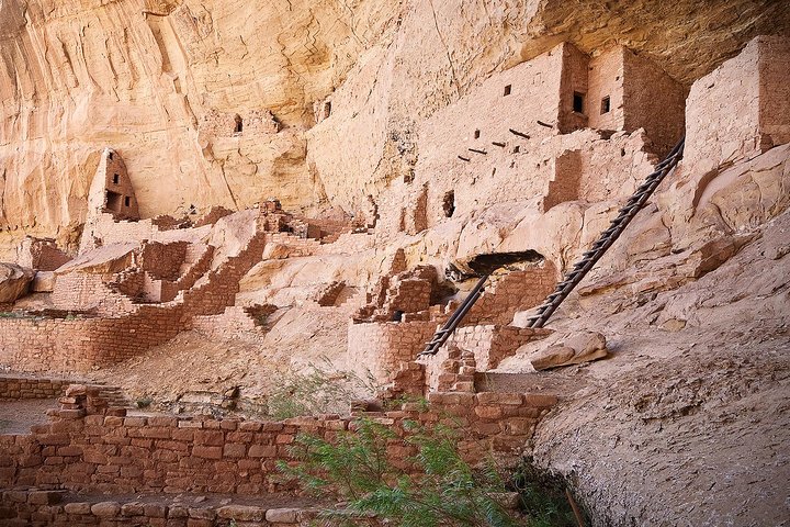 Heldagstur till Mesa Verde med Cliff Palace och lunch