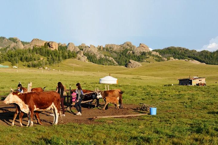Private Day Tour: Terelj National Park + Genghis Khan's Statue ..