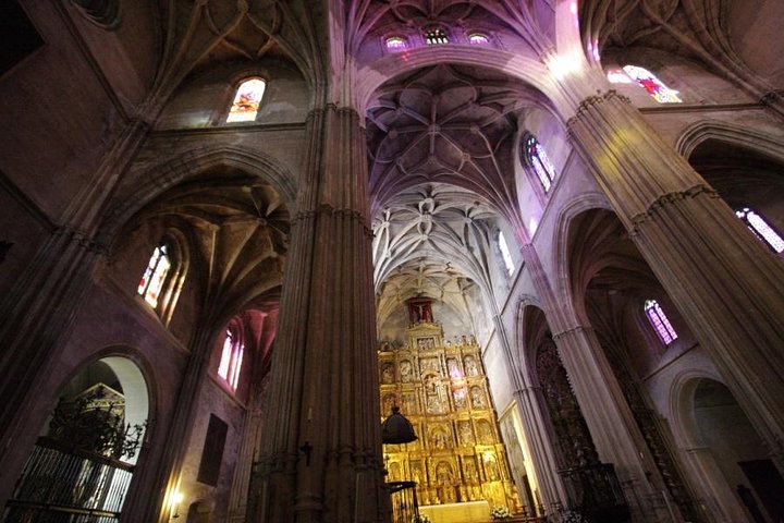 Excursion de 2 heures à Carmona: Alcazar et église de Santa Maria