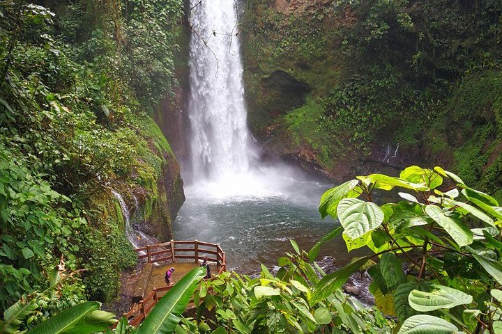 Excursión a los jardines de la cascada de La Paz y refugio de vida silvestre desde San José