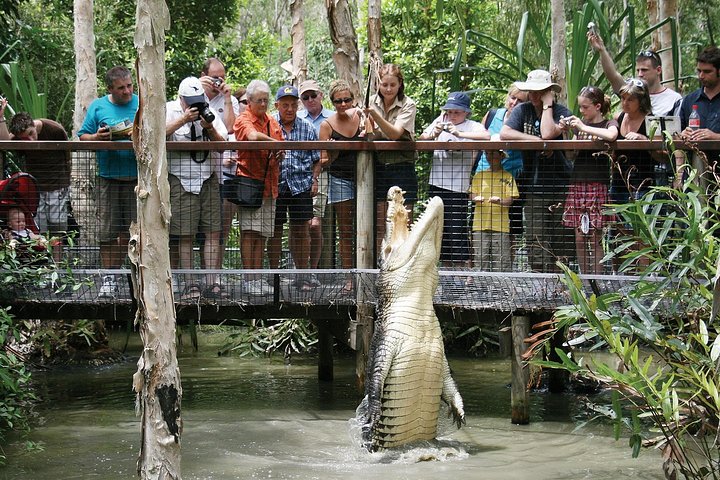 Hartley’s Krokodillenavonturen Tour van een halve dag vanuit Cairns
