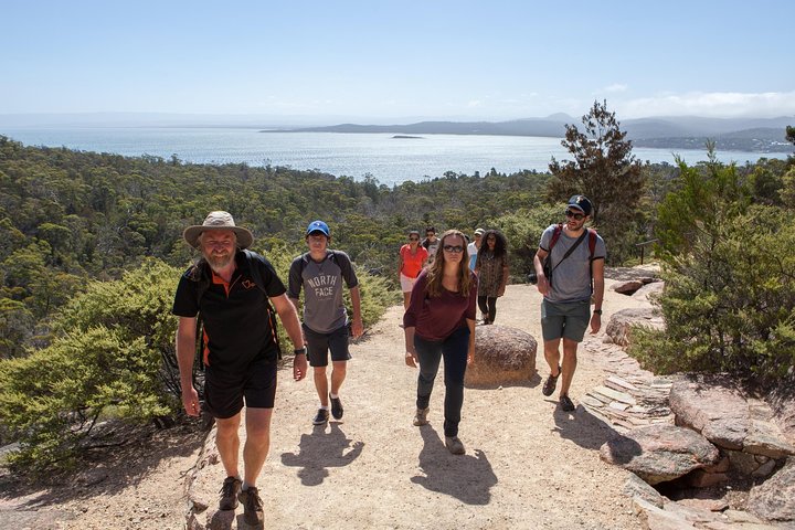 Launceston : Wineglass Bay & Freycinet Explorer Gita di un giorno