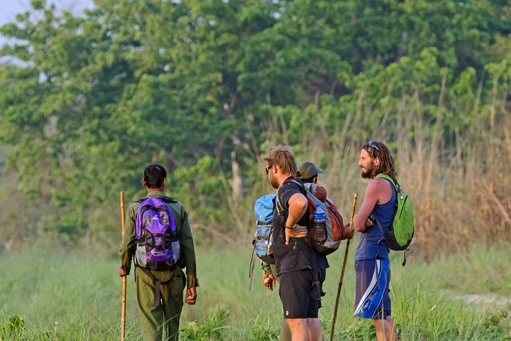 3 - Dag Chitwan Jungle Safari fra Kathmandu – All Inclusive Tour