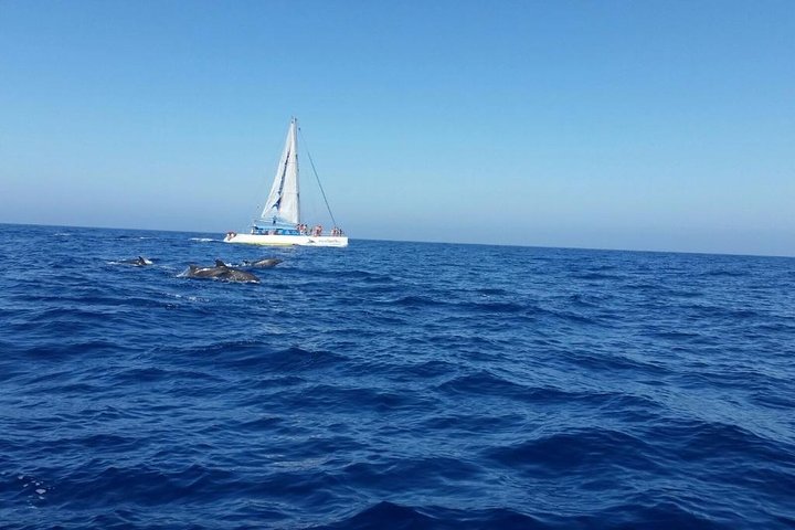 Croisière en catamaran à Gran Canaria au départ de Porto Rico