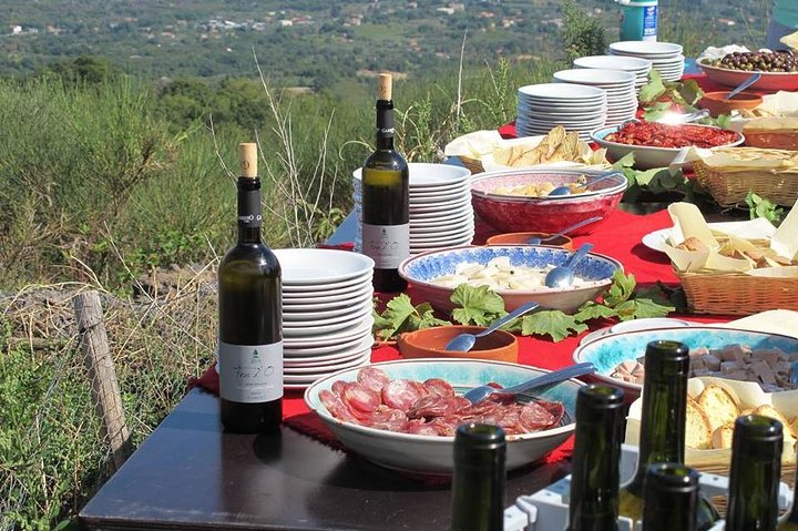 Desde Siracusa : Tour Privado Monte Etna con Almuerzo en Bodega Etna