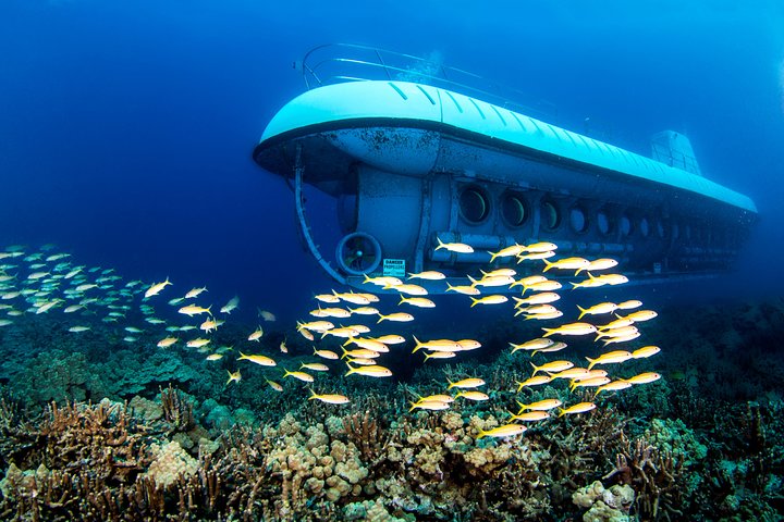 Big Island : Sous-marin Atlantis au départ de Kona Beach