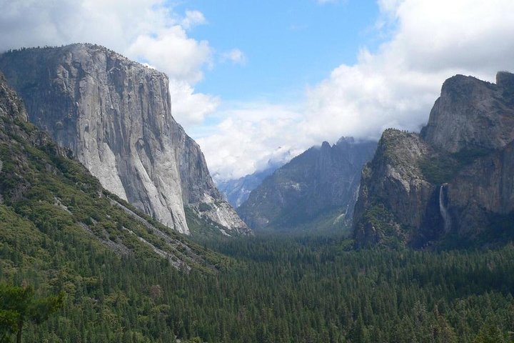 Tagesausflug von San Francisco nach Yosemite und Riesenmammutbäumen in kleiner Gruppe