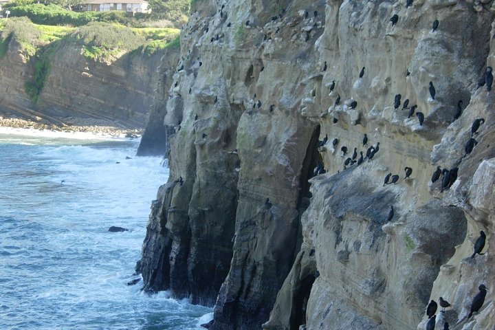 La Jolla Sea Caves Kajaktur för två (Tandem Kayak)